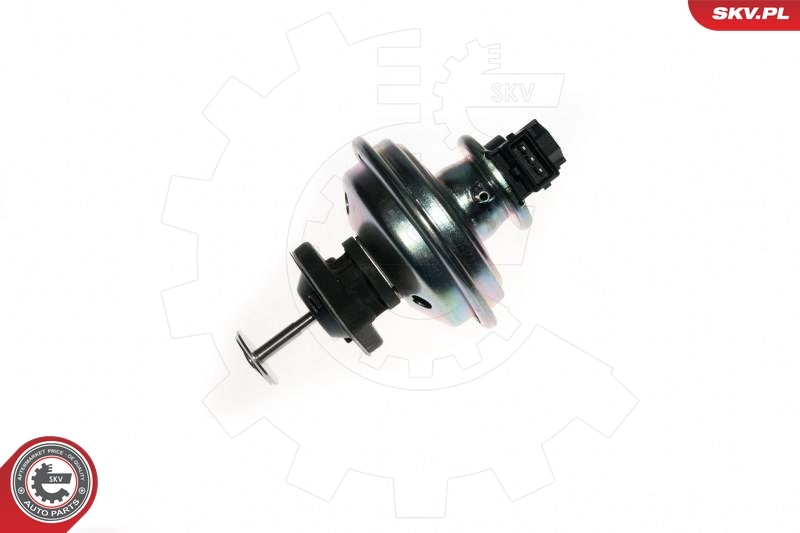 EGR Valve